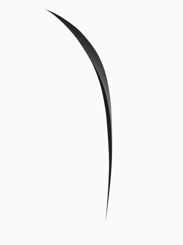 Minimalistische en abstracte compositie van een scherpe, gebogen zwarte vorm op een witte achtergrond. Het ontwerp straalt eenvoud en dynamiek uit, met een krachtig contrast. Dit werk verbeeldt de essentie van de artistieke visie en vormt een abstraherende basis van het werk van Jasper Mulder. Vastgelegd in Amsterdam.
