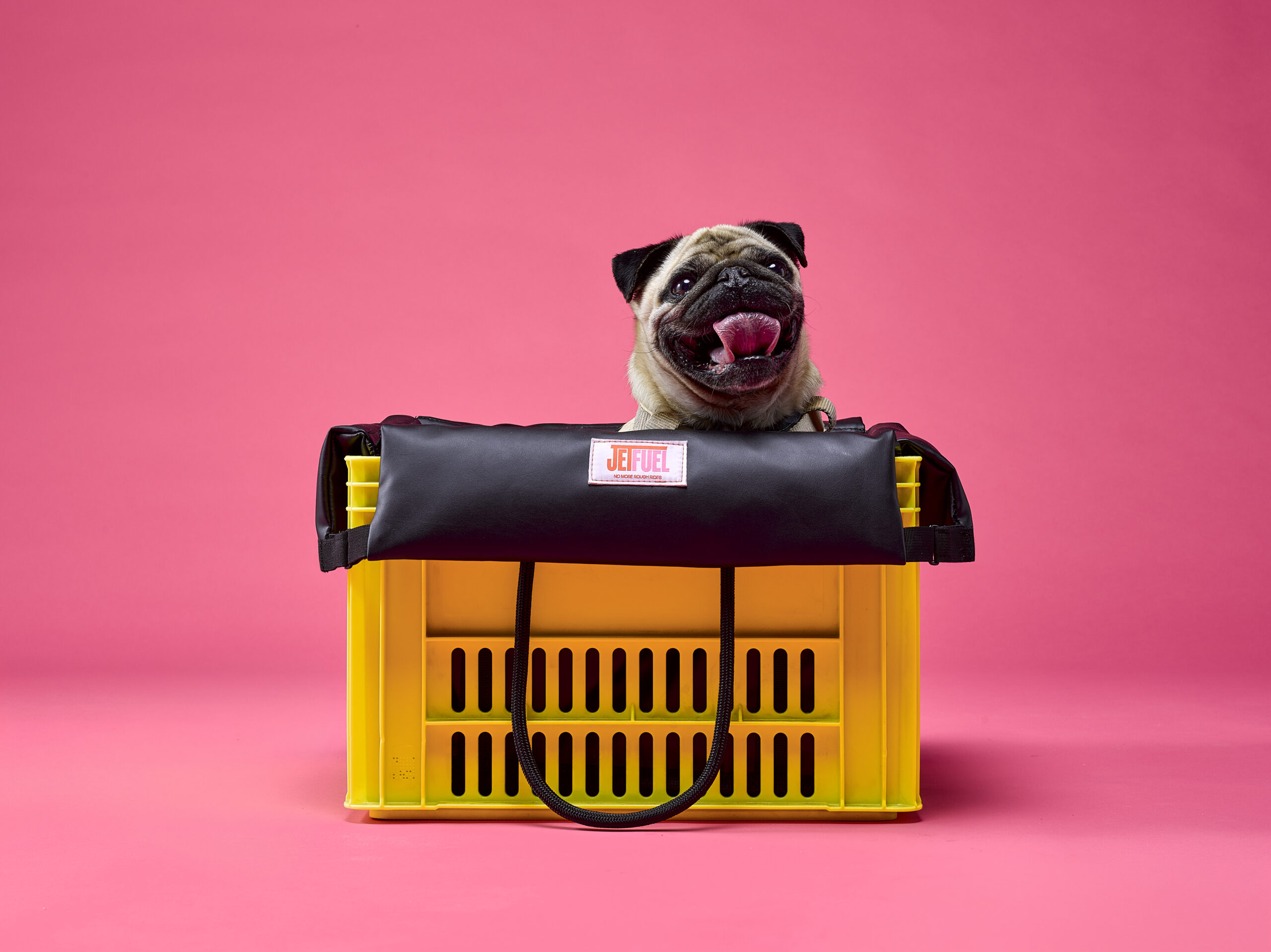 Close-up van een zwarte JetFuel-krattenhoes met label "No more rough rides" en touwhandvat op een geel plastic krat, met een lachende pug die eruit kijkt, tegen een roze achtergrond.